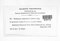 Image Associated With the Occurence
